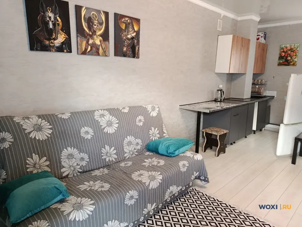 Квартира-студия, 20 м², 2/3 эт.