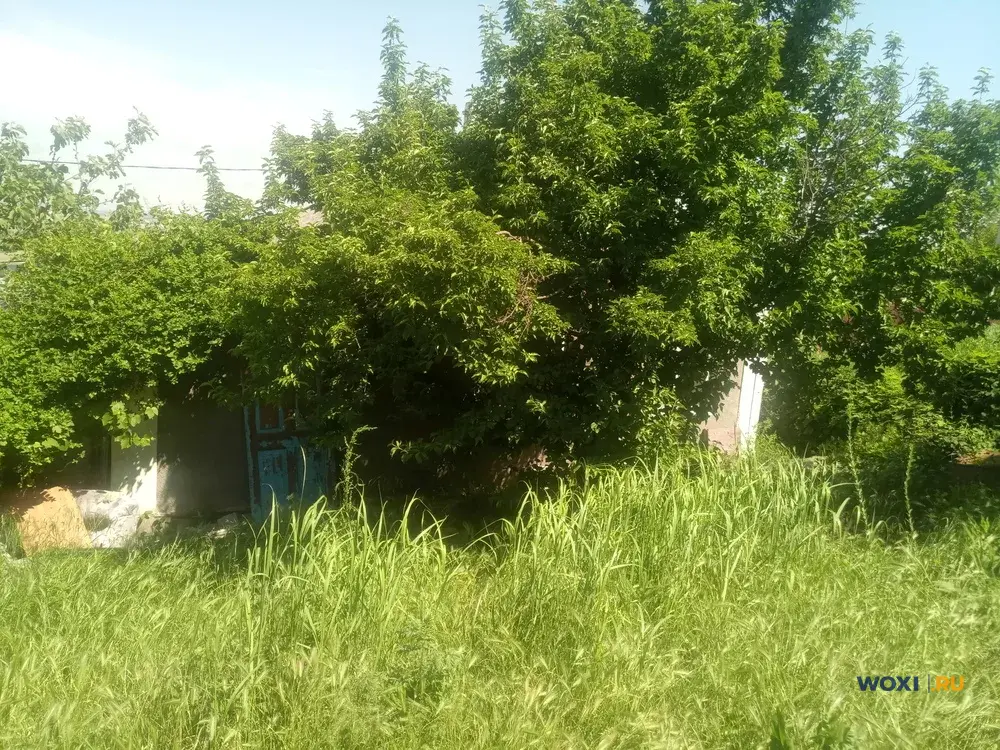 Участок 10 сот. (ЛПХ)