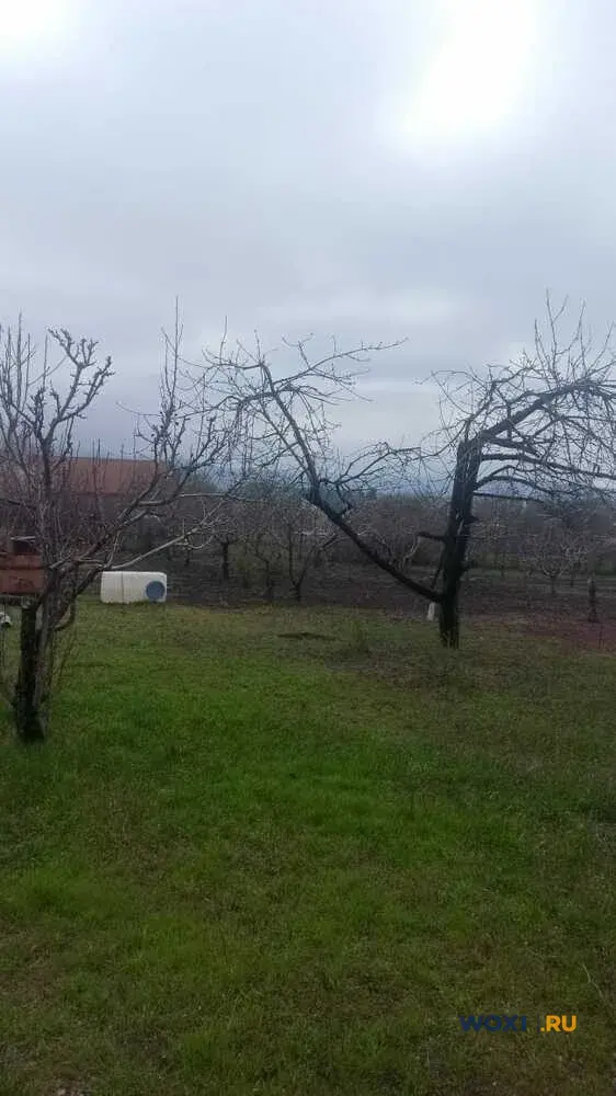 Участок 30 сот. (ЛПХ)