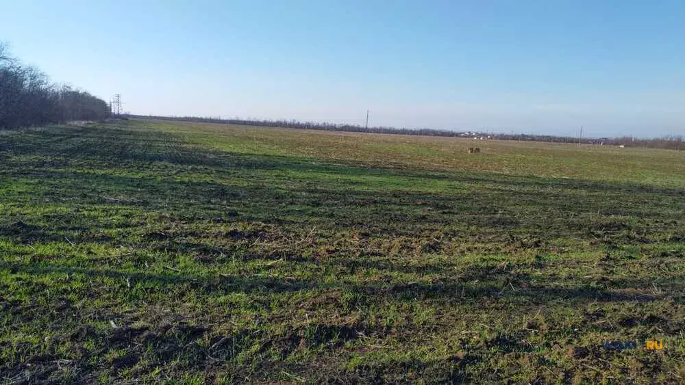 Участок 340 сот. (с/х)