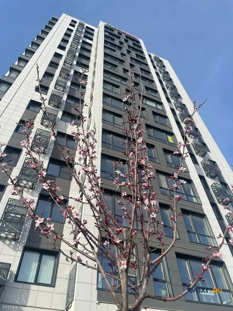 2-комн. квартира, 60 м², 15/16 эт.