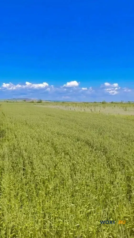 Участок 6 сот. (с/х)