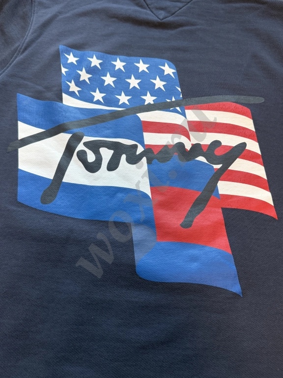 Худи мужское Tommy Hilfiger Оригинал