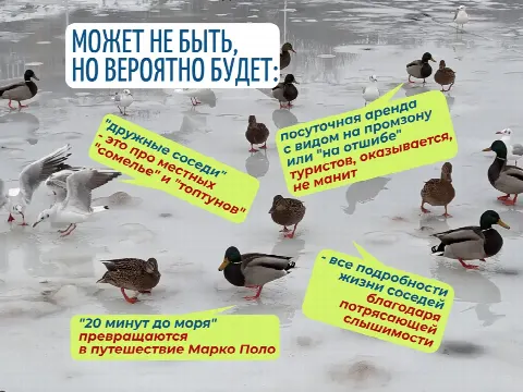 Квартирный Детектив. Не риелтор