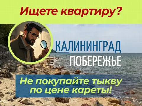 Квартирный Детектив. Не риелтор