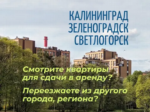 Квартирный Детектив. Не риелтор