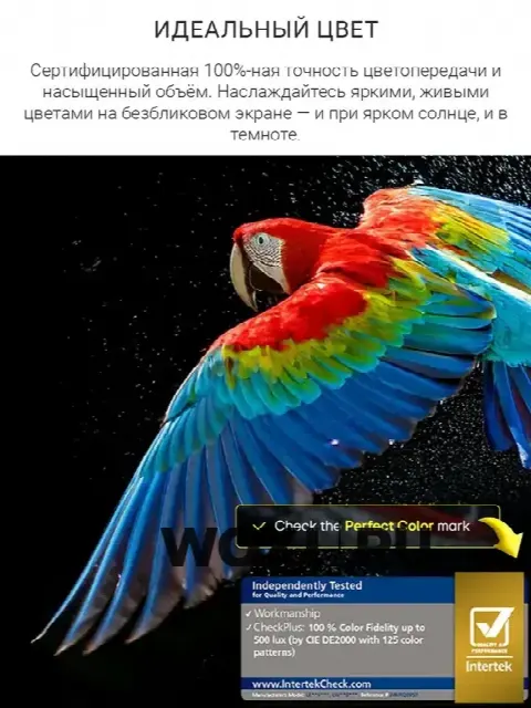 LG Oled C5 42 дюйма