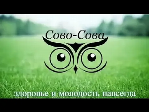 Компания Сово-Сова