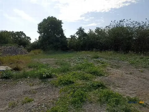 Участок 6 сот. (ЛПХ)