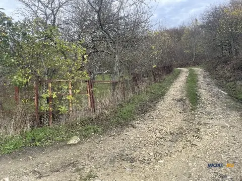 Участок 5 сот. (СНТ, ДНП)