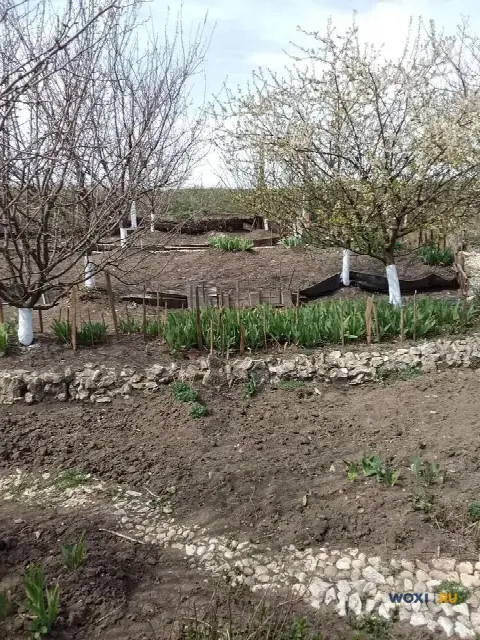 Дом 45 м² на участке 5 сот.
