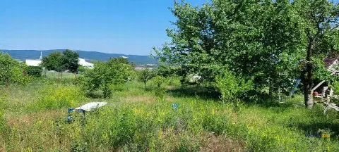 Участок 20 сот. (ИЖС)