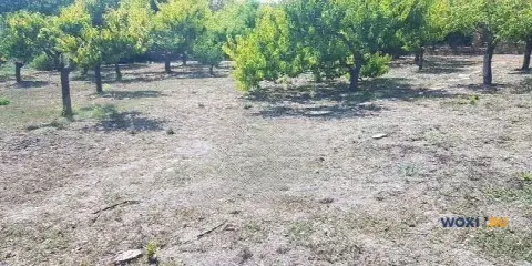 Участок 9 сот. (ИЖС)