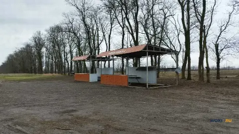 Участок 264 сот. (с/х)