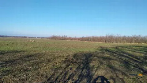 Участок 340 сот. (с/х)