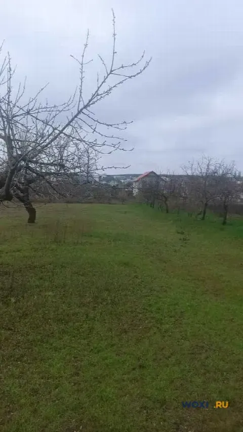 Участок 30 сот. (ЛПХ)