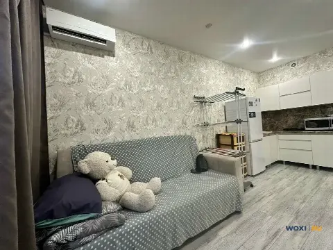 Квартира-студия, 21 м², -1/16 эт.