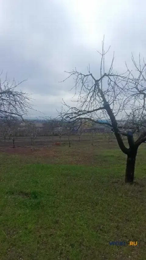 Участок 30 сот. (ЛПХ)