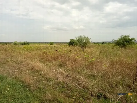 Участок 6 сот. (с/х)