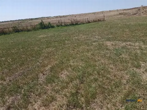 Участок 6 сот. (ЛПХ)