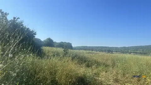 Участок 9 сот. (с/х)