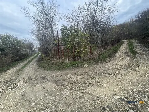 Участок 5 сот. (СНТ, ДНП)