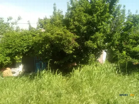 Участок 10 сот. (ЛПХ)