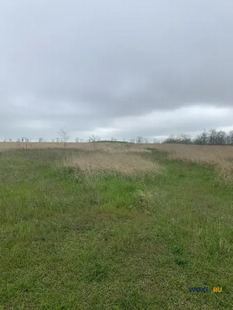 Участок 6 сот. (с/х)