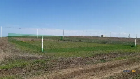 Участок 6 сот. (ИЖС)