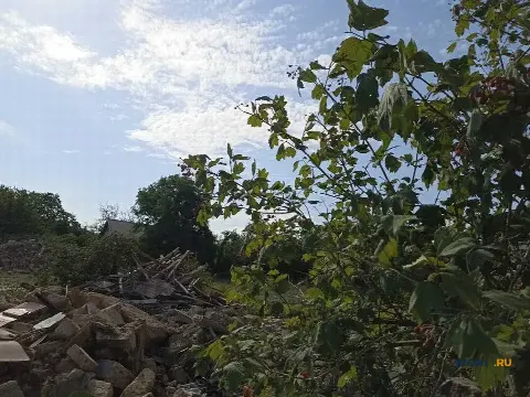 Участок 6 сот. (ЛПХ)