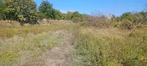 Участок 67 сот. (промназначение)