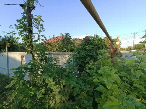 Участок 4 сот. (ЛПХ)