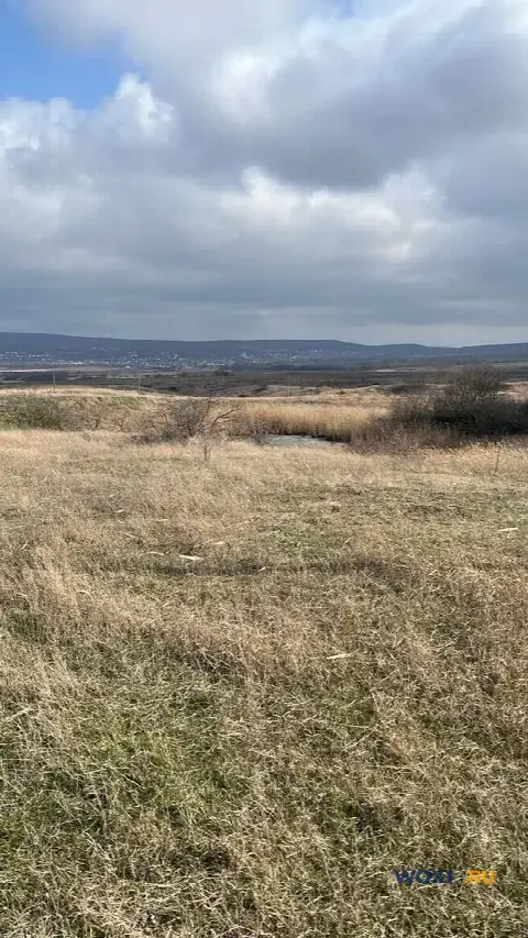 Участок 8 сот. (с/х)