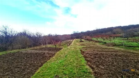 Участок 30 сот. (ИЖС)