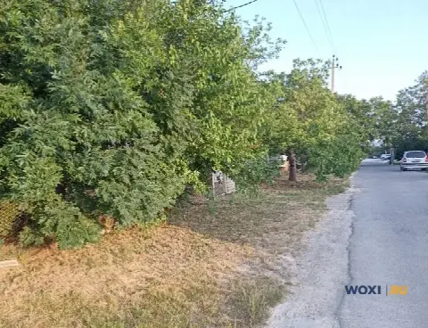 Участок 6 сот. (ЛПХ)