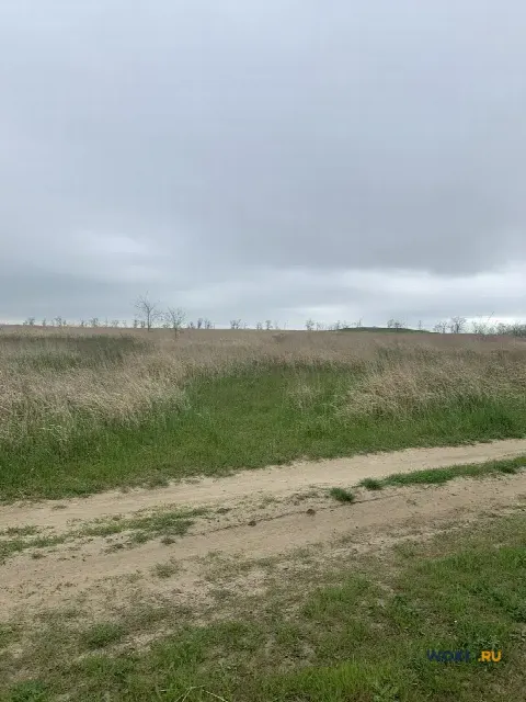 Участок 6 сот. (с/х)