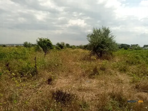 Участок 6 сот. (с/х)
