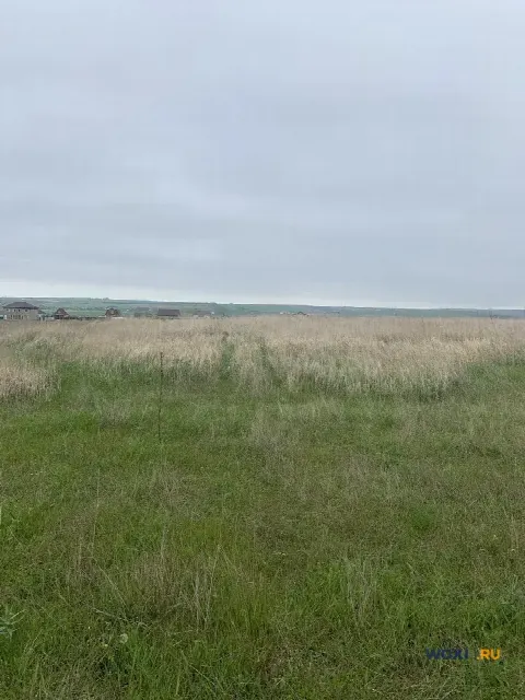 Участок 6 сот. (с/х)