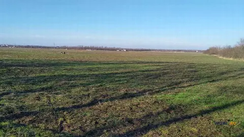 Участок 340 сот. (с/х)