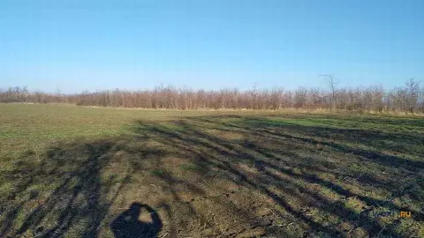 Участок 340 сот. (с/х)