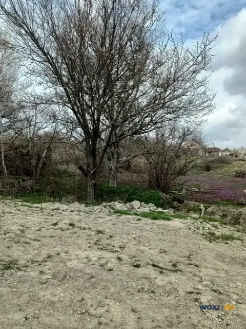 Участок 4 сот. (ИЖС)