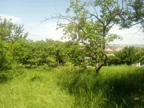 Участок 10 сот. (ЛПХ)