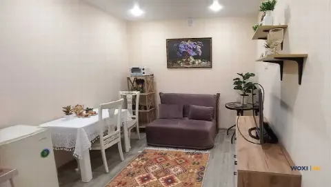 Квартира-студия, 17 м², -1/9 эт.