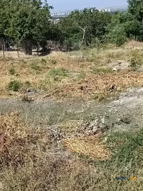 Участок 8 сот. (ИЖС)