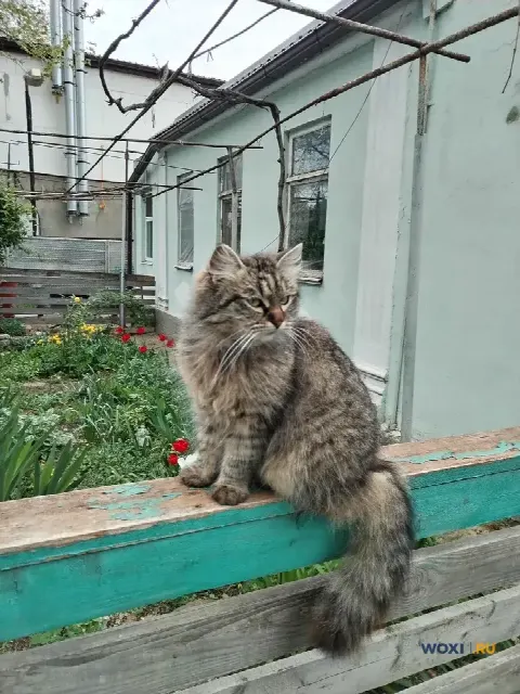 Участок 5 сот. (ИЖС)