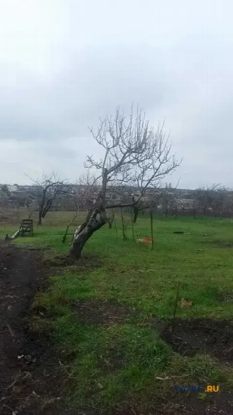 Участок 30 сот. (ЛПХ)