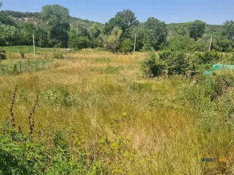 Участок 10 сот. (ИЖС)
