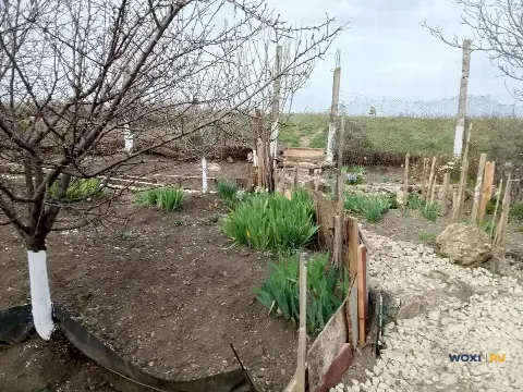 Дом 45 м² на участке 5 сот.