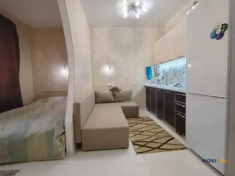 Квартира-студия, 28 м², 19/20 эт.