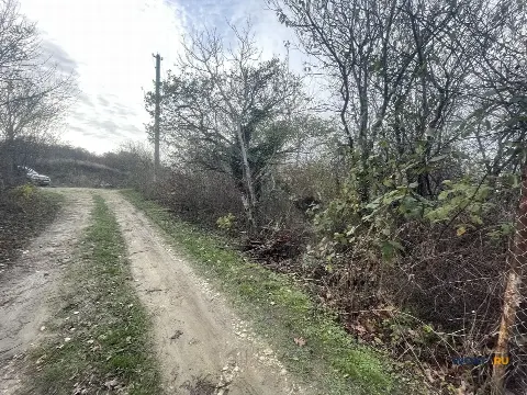 Участок 5 сот. (СНТ, ДНП)